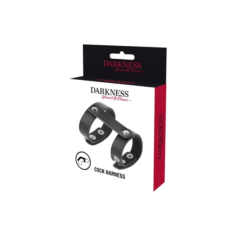 D-226731 DARKNESS BONDAGE