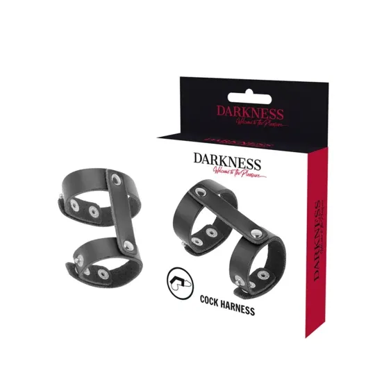 D-226731 DARKNESS BONDAGE