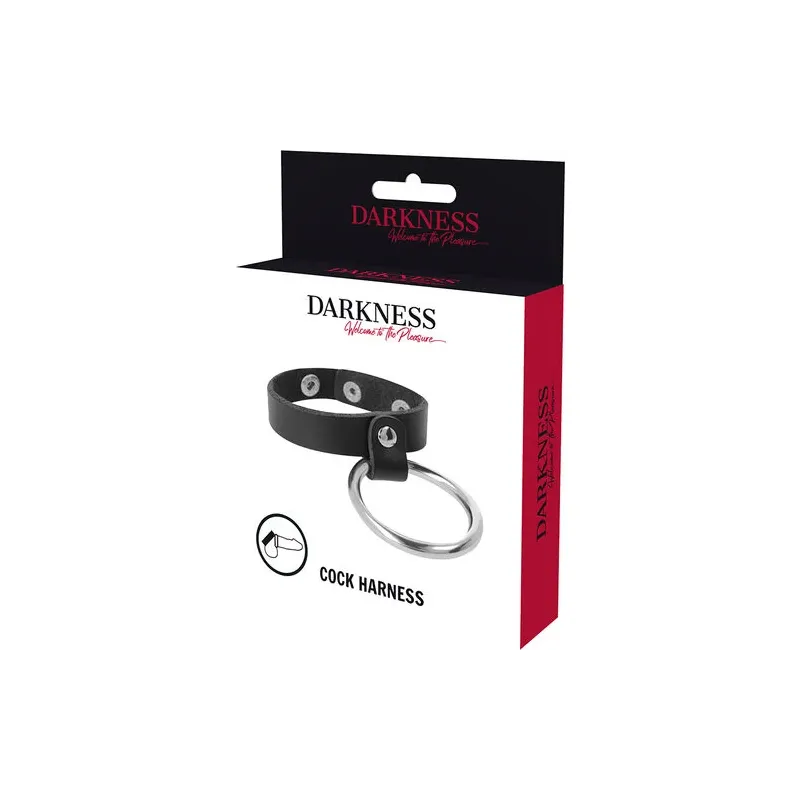 D-226733 DARKNESS BONDAGE