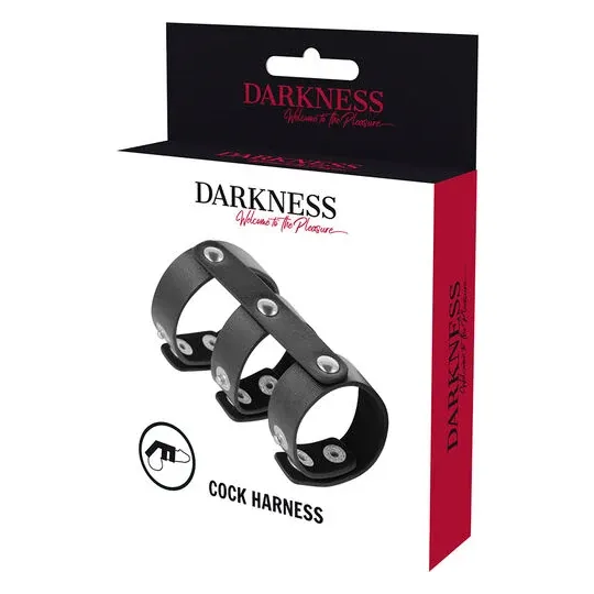 D-226732 DARKNESS BONDAGE