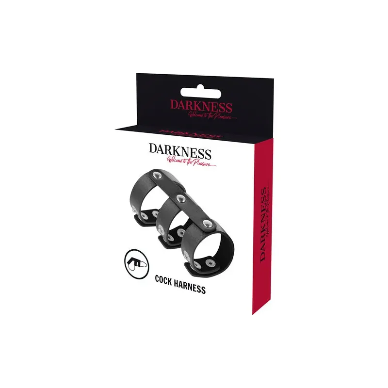 D-226732 DARKNESS BONDAGE