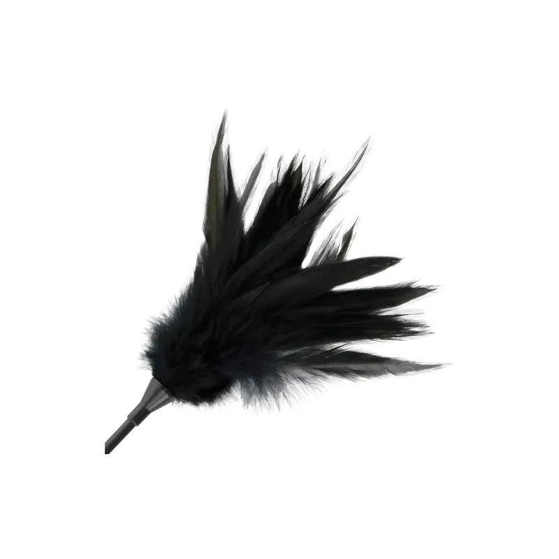 D-221180 DARKNESS SENSATIONS