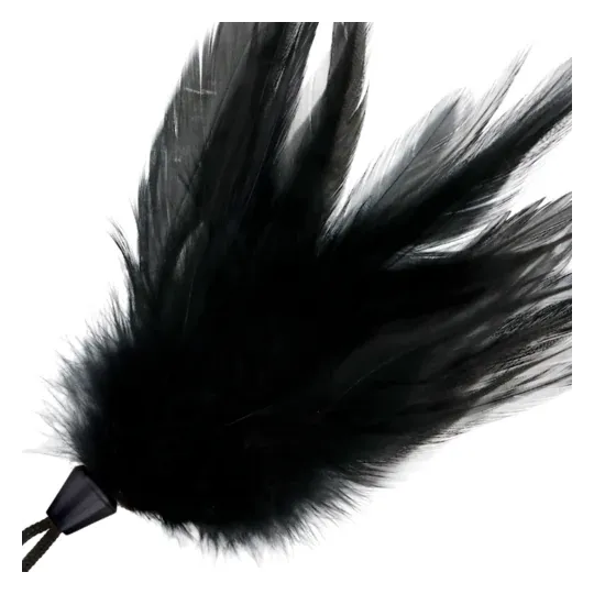 D-221172 DARKNESS SENSATIONS