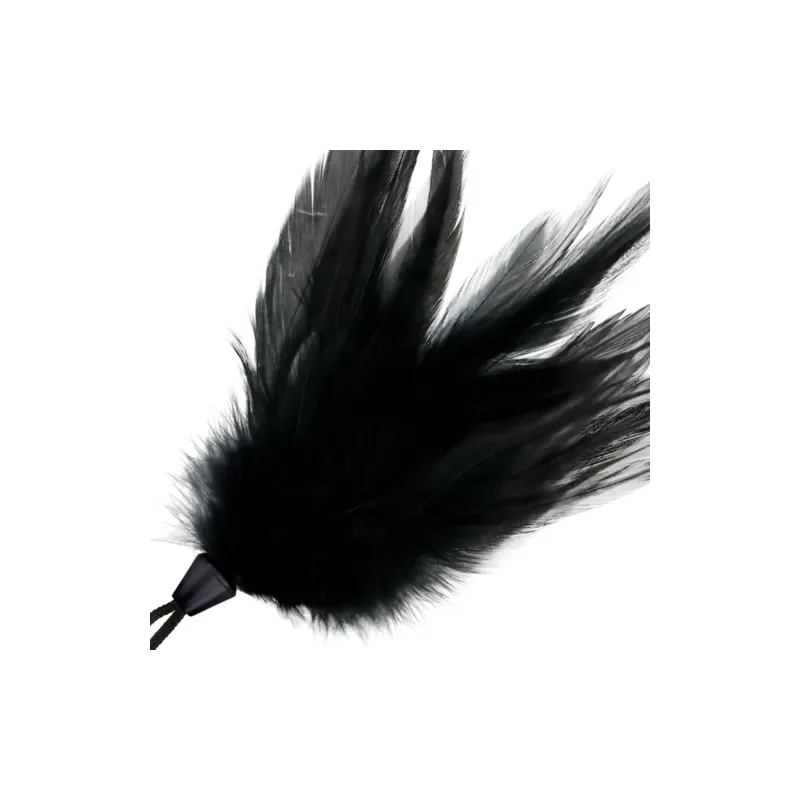 D-221172 DARKNESS SENSATIONS