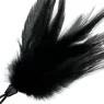 D-221172 DARKNESS SENSATIONS
