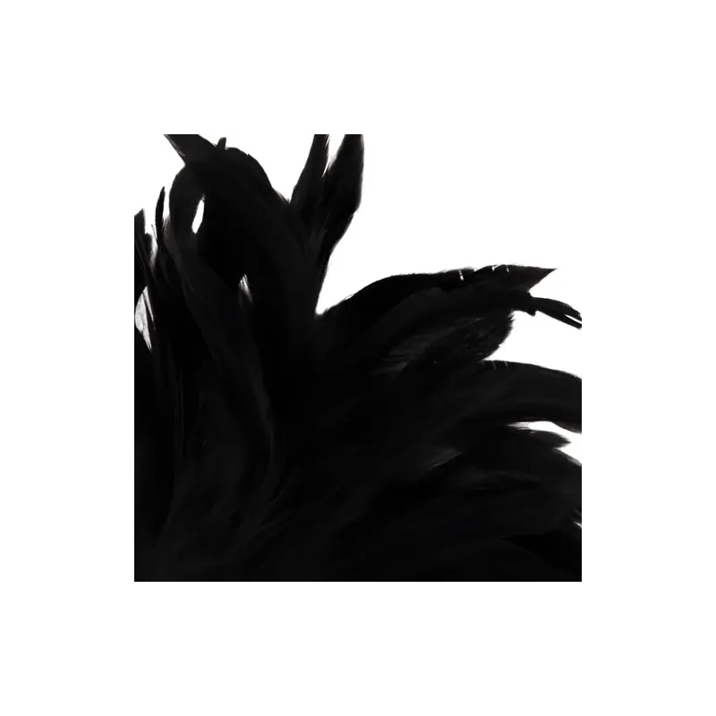 D-221177 DARKNESS SENSATIONS