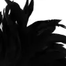 D-221177 DARKNESS SENSATIONS