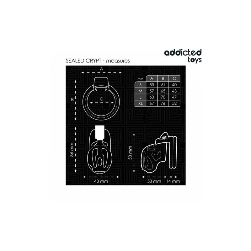 Cage de chasteté ADDICTED TOYS LOCKED avec verrou et bagues ajustables 40-52mm pour contrôle absolu