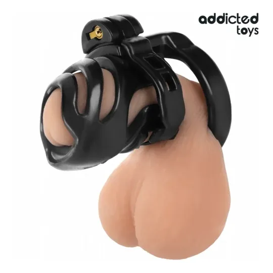 Cage de chasteté Addicted Toys Locked avec verrou éternel et 4 anneaux ajustables pour soumission masculine