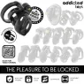 Jaula de castidad Addicted Toys Locked con cerradura eterna y 4 anillos ajustables para sumisión masculina" }, { "fr": "Vue déta