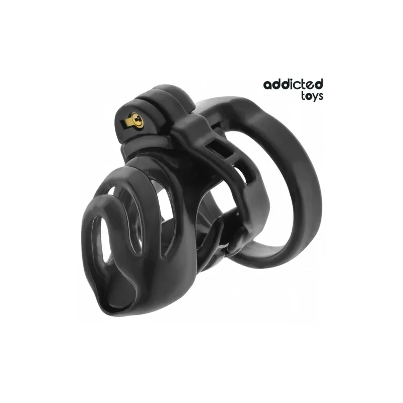 Gabbia di castità Addicted Toys Locked con serratura eterna e 4 anelli regolabili per sottomissione maschile