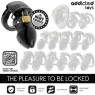 Jaula de castidad negra ADDICTED TOYS LOCKED 7,5 cm con anillo púbico ajustable y candados de plástico