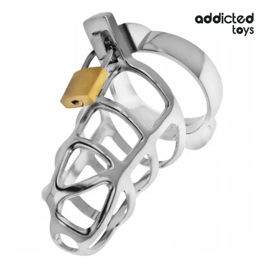 Cage de chasteté métal argent Addicted Toys Locked taille M - vue d'ensemble avec verrou