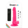 D-231121 DIVERSIA