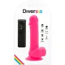 D-231122 DIVERSIA