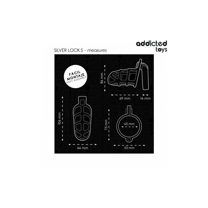 Cage de chasteté métal argent Addicted Toys Locked taille S avec verrou et clés