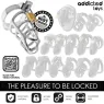 Cage de chasteté métal argent Addicted Toys Locked taille S avec verrou et clés