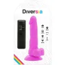 D-231115 DIVERSIA