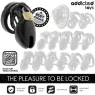 Jaula de castidad ADDICTED TOYS LOCKED Obsidian Hold talla S, vista general con anillos y candado de seguridad."}, {"fr": "Cage 