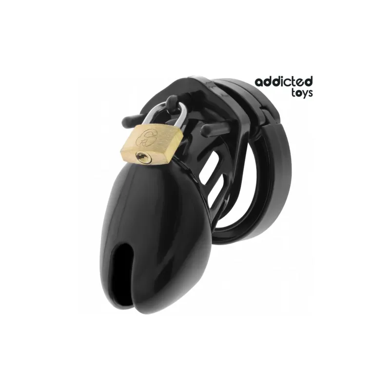 Gabbia di castità ADDICTED TOYS LOCKED Obsidian Hold taglia S, vista d'insieme con anelli e lucchetto di sicurezza.
