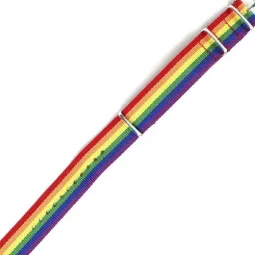 D-243911 PRIDE