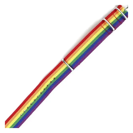 D-243911 PRIDE