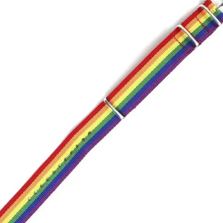 D-243911 PRIDE
