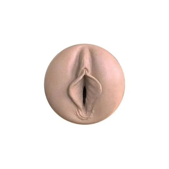 D-233595 FLESHLIGHT BOOST