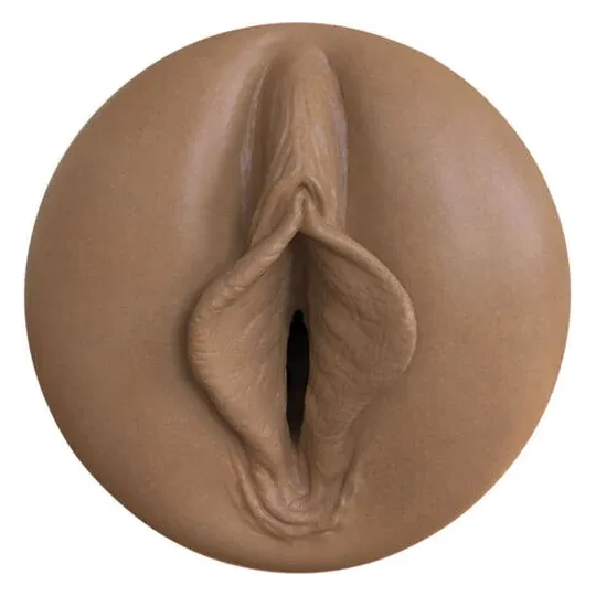 D-236963 FLESHLIGHT BOOST