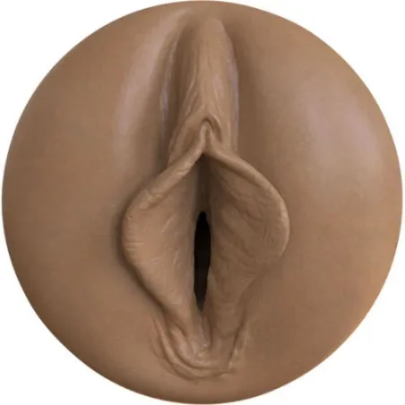 D-236963 FLESHLIGHT BOOST