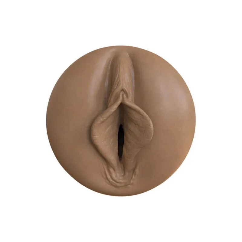 D-236963 FLESHLIGHT BOOST