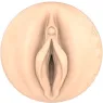 D-242262 FLESHLIGHT FANTASY