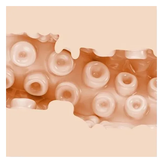 D-242262 FLESHLIGHT FANTASY