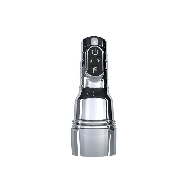 D-245090 FLESHLIGHT