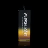 D-197676 FLESHLIGHT