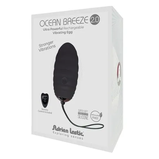 Œuf vibrant télécommandé rechargeable Adrien Lastic noir - vue face