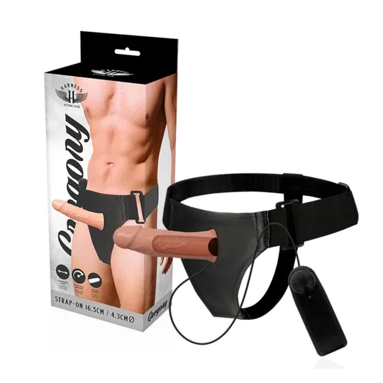 D-224937 HARNESS ATTRACTION