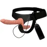 D-224929 HARNESS ATTRACTION