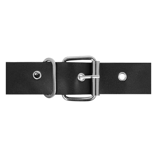 D-224925 HARNESS ATTRACTION