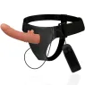 D-224920 HARNESS ATTRACTION