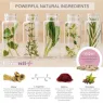 Complément alimentaire 500COSMETICS Feminil+ – gélules pour amélioration de la libido féminine – boîte de 30