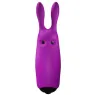 Mini vibromasseur lapin violet de poche ADRIEN LASTIC en silicone pour stimulation clitoridienne