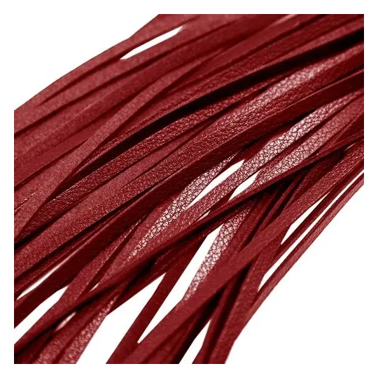 Frusta BDSM rossa ALIVE 69 cm – vista d'insieme impermeabile IPX8