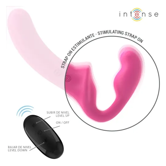 D-244455 INTENSE REMOTE CONTROL