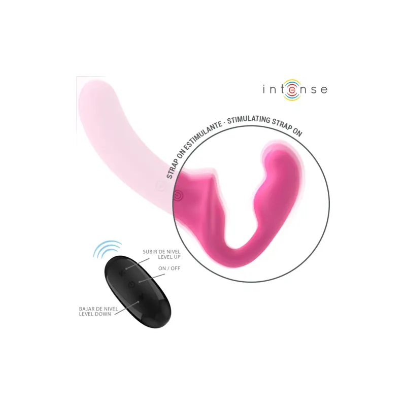 D-244455 INTENSE REMOTE CONTROL