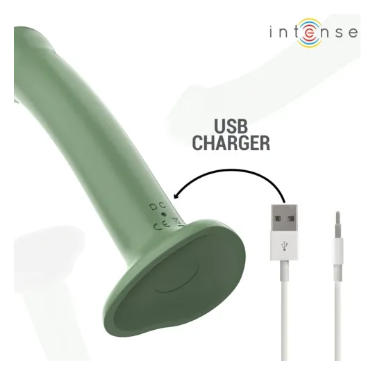D-241983 INTENSE REMOTE CONTROL