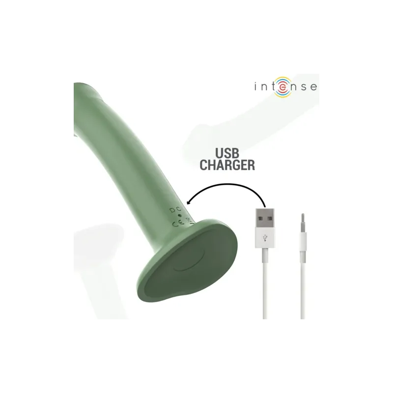 D-241983 INTENSE REMOTE CONTROL