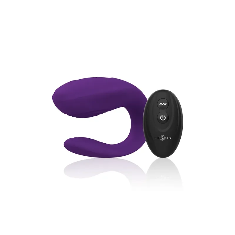 D-227613 INTENSE REMOTE CONTROL
