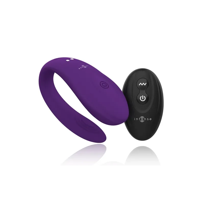 D-227613 INTENSE REMOTE CONTROL
