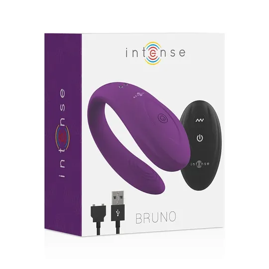 D-227613 INTENSE REMOTE CONTROL